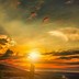 Image result for iPhone 11 Sunset Wallpaper