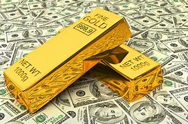 Image result for Gold Money Spraygound