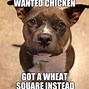 Image result for Pitbull Dog Confused Meme