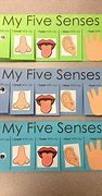 Image result for Five Senses Preschool Theme