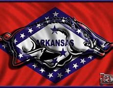 Image result for Arkansas Razorbacks Hogs