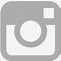 Image result for Instagram Icon Grey