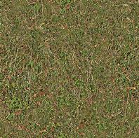 Image result for Sandy Grass Seamless Texture