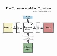 Image result for Cognition