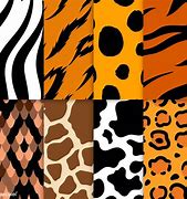 Image result for Cool Animal Patterns