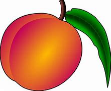 Image result for Fruit Bat Clip Art