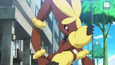 Image result for Lopunny and Minccinos Wrestling Ring Animation