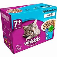 Image result for Best Wet Cat Food for Senior Cats
