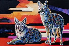 Image result for Coyote Wall Canvas