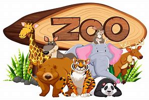 Image result for The Zoo Clips Art