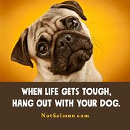 Image result for Daily Funny Thoughts and Sayings
