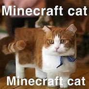 Image result for Minecraft Pet Memes