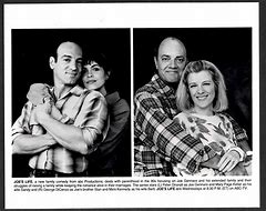 Image result for Joe's Life TV ABC 1993