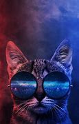 Image result for Ripndip Cat Wallpaper
