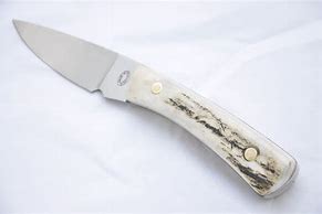 Image result for Stag Handle Skinning Knife