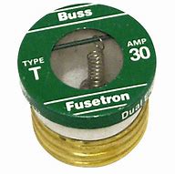 Image result for 30 Amp Fuse Types