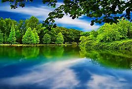 Image result for naturaleza