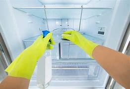 Image result for Refrigerator Clean Out