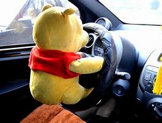 Image result for Driver Sitting On Door
