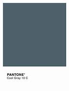 Image result for Pantone Cool Grey 10C