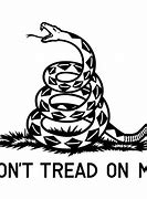 Image result for Don't Tread On Me Flag
