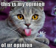 Image result for Attitude Cat Meme