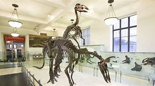 Image result for American Dinosaurs