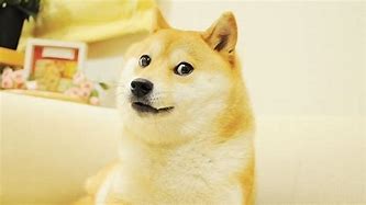 Image result for Doge Meme Pic
