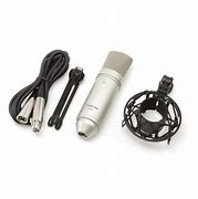 Image result for Tascam Microphone