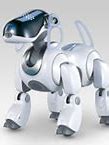 Image result for Dog Aibo Evolution