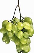 Image result for Light Green Grapes