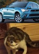 Image result for Blank Confused Cat Meme