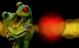 Image result for Frog Love