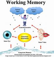 Image result for Mind and Memory