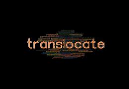 Image result for translocate