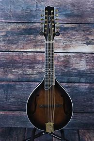 Image result for Mandolin 8 String Guitar
