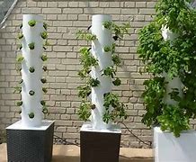Image result for DIY Indoor Hydroponic System
