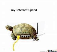 Image result for Net Speed Meme