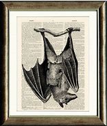 Image result for Vintage Bat Artwork
