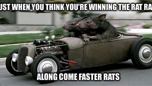 Image result for Rat Race Meme