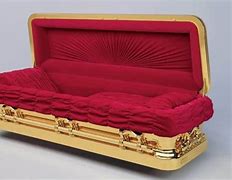 Image result for Gold Coffin Case Kim Kardashian