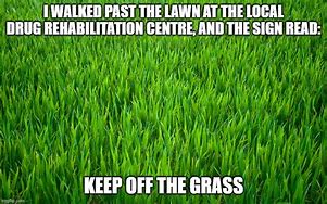 Image result for Scared of Grass Meme