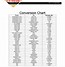 Image result for Cm to Inches Chart Printable