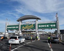 Image result for Rooted in Oakland Sign