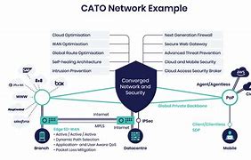 Image result for Cato Cloud