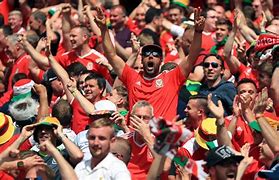 Image result for Football Fans Yeal