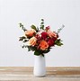 Image result for Red-Tipped Peach Roses
