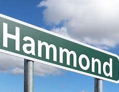 Image result for Hammond, LA parks and recreation