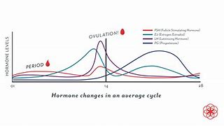 Image result for Cycle Graph