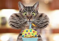 Image result for Free Funny Cat Birthday Image